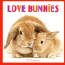 Rabbits Calendars, Bunnies Calendars